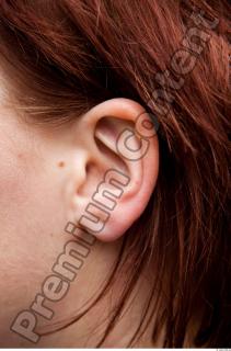Ear texture of street references 329 0001